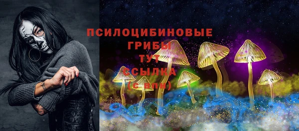ГАЛЛЮЦИНОГЕННЫЕ ГРИБЫ Верхний Тагил