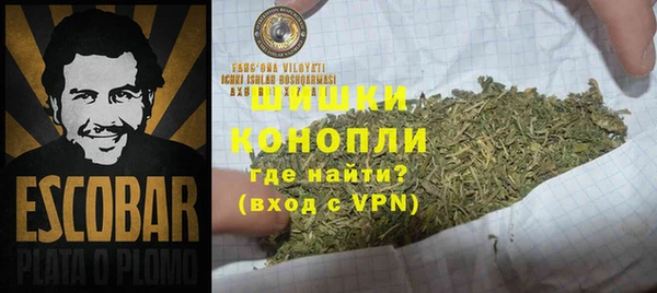 ГАЛЛЮЦИНОГЕННЫЕ ГРИБЫ Верхний Тагил