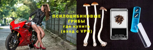 ГАЛЛЮЦИНОГЕННЫЕ ГРИБЫ Верхний Тагил