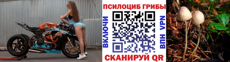 нарко площадка формула  Воткинск  Галлюциногенные грибы Cubensis 